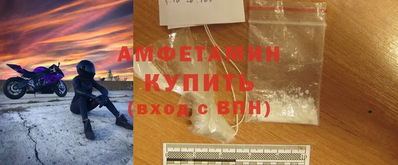 Amphetamine Розовый  Ковров 