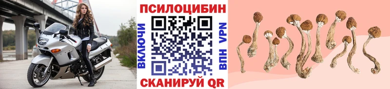 Псилоцибиновые грибы мухоморы  наркотики  Ковров 