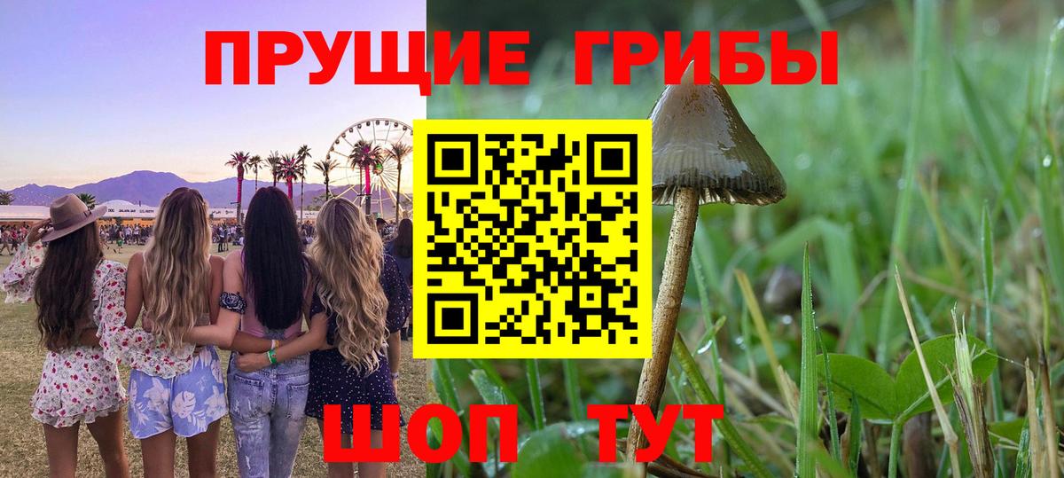 Псилоцибиновые грибы GOLDEN TEACHER Ковров