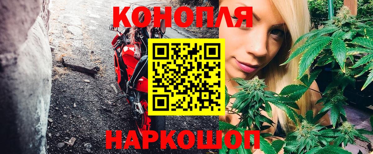 Шишки марихуана конопля  Бошки Шишки планчик  Ковров  Канабис Bruce Banner  Вход с VPN 